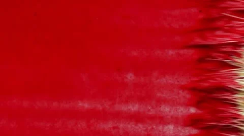 Drawing with a brush in red paint Stock Footage