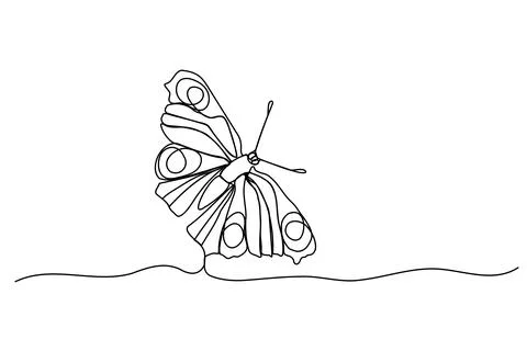 Drawing a butterfly with one continuous line. Vector drawing of a butterfly. Stock Illustration