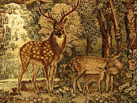 Drawing on the carpet. Stock Photos