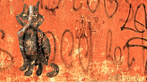 Drawing of a cat on the old wall Stock Footage 32305407