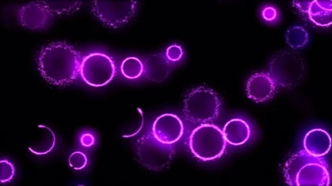 Drawing Circle Shapes on Black Background Animation - Loop Purple Stock Footage 72433483