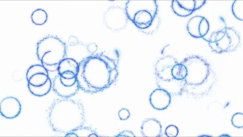Drawing Circle Shapes on White Background Animation - Loop Blue 스톡 동영상 72563963