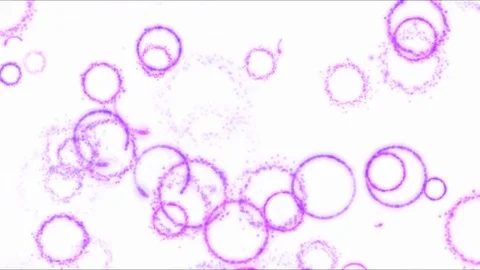 Drawing Circle Shapes on White Background Animation - Loop Pink Stock Footage 72563994