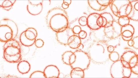 Drawing Circle Shapes on White Background Animation - Loop Orange Stock Footage 72564629