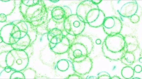 Drawing Circle Shapes on White Background Animation - Loop Rainbow Stock Footage 72564657