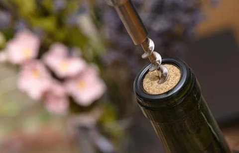 Drawing corks from bottle of wine with corkscrew Stock Photos