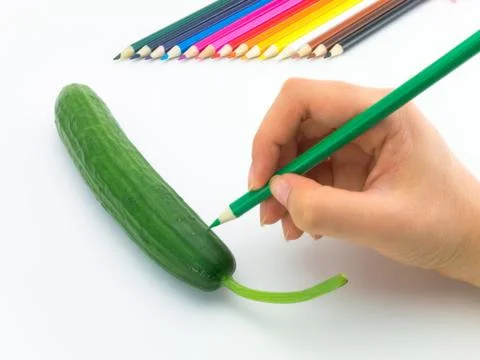 Drawing Cucumber Stock Photos