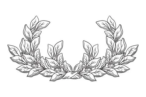 Drawing design element of laurel leaves vector illustration Stock Illustration