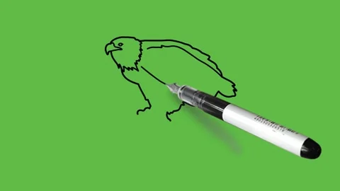 Drawing an eagle in black and blue colour combination on abstract green back Stock Footage 154671827