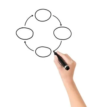 Drawing empty diagram organization Stock Photos
