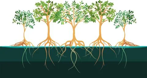 A drawing of five trees with their roots showing Illustrazione stock