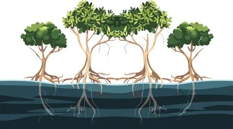 A drawing of five trees with their roots showing Stock Illustration