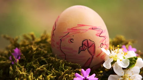 Drawing of a flamingo on an Easter egg. Stock Footage 146997607