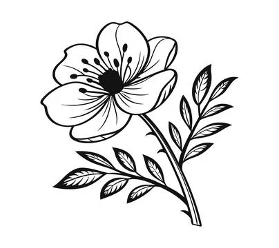 A drawing of a flower with a black outline vector Stock Illustration