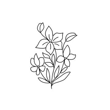 Drawing of a flower on a white background Stock Illustration