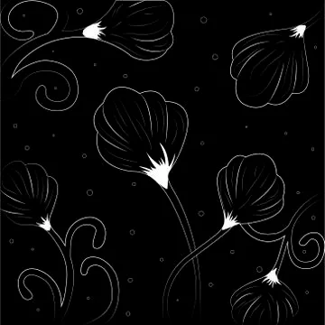 Drawing flowers from thin white lines. Black background. Stock Illustration