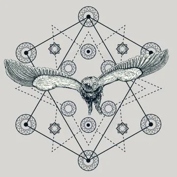 Drawing of a flying owl Stock Illustration