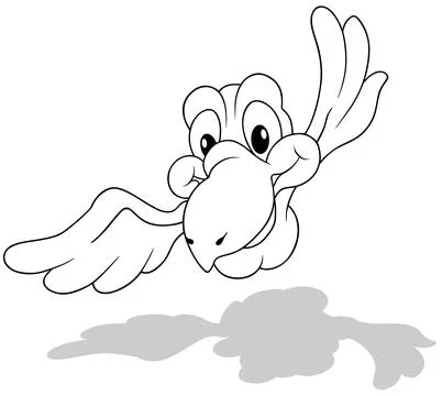 Drawing of a Flying Parrot from Front View Stock Illustration