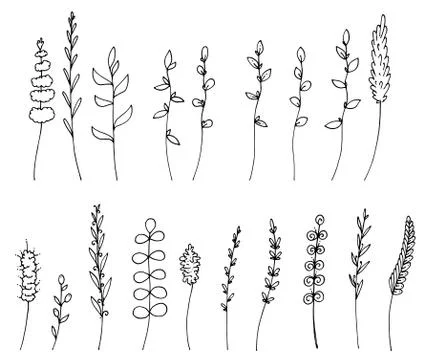 Drawing forest herbs set collection isolated graphic vector illustration Illustrazione stock