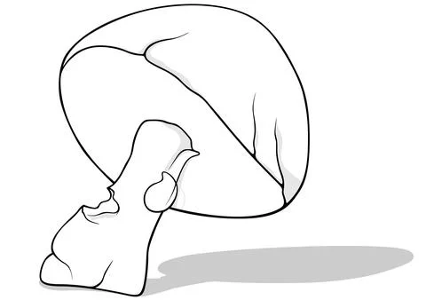 Drawing of a Forest Mushroom with a Drop Shadow Stock Illustration