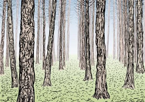 Drawing of a forest, tree trunks, vector illustration Stock Illustration