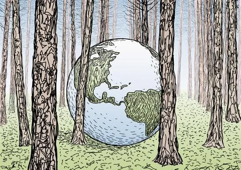 Drawing of a forest, tree trunks, vector illustration Stock Illustration