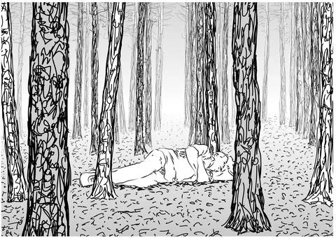 Drawing of a forest, tree trunks, vector illustration Stock Illustration