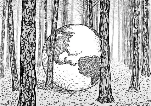 Drawing of a forest, tree trunks, vector illustration Stock Illustration