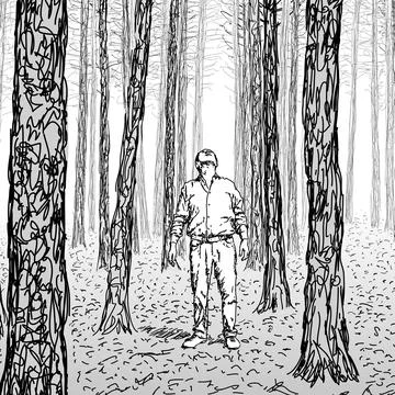 Drawing of a forest, tree trunks, vector illustration Stock Illustration