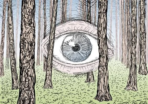 Drawing of a forest, tree trunks, vector illustration Stock Illustration
