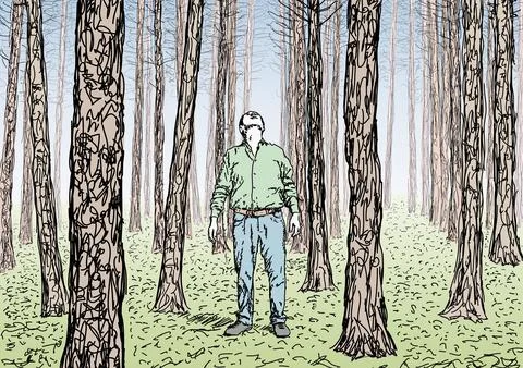 Drawing of a forest, tree trunks, vector illustration Stock Illustration