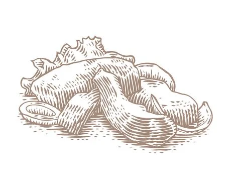 Drawing of fried liver Stock Illustration