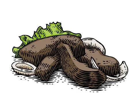 Drawing of fried liver Stock Illustration