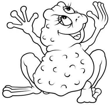 Drawing of a Frog from the Back View 스톡 일러스트
