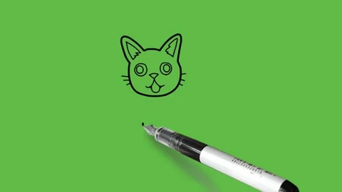 Drawing a funny cat in black, brown, pink, green and white colour combination Vidéo 155365410