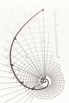 Drawing of the golden section Stock Photos