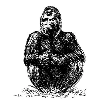 Drawing gorilla sitting Stock Illustration