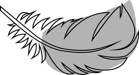 Drawing of a gray bird feather with a black outline, decorative element, logo Stock Illustration