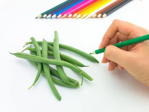 Drawing Green Beans Stock Photos