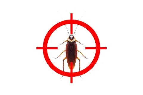 Drawing gun target to kill cockroach , pest control concept Stock Photos