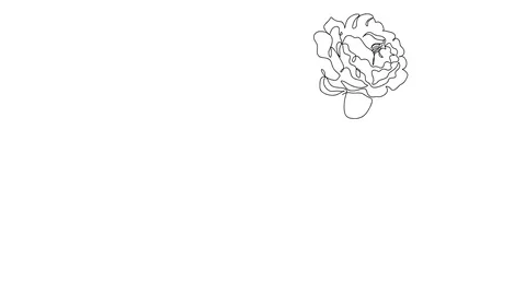 Drawing by hand, black lines on a white background. Botanical animation. Stock-Footage 128420201