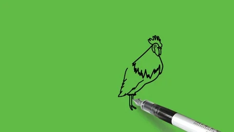 Drawing a hen in black, brown, red, orange and pink colour combination 動画素材 155181360