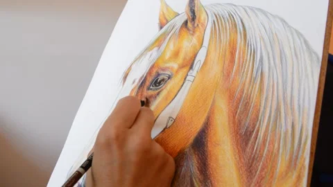 Drawing a Horse Stock Footage 134241738