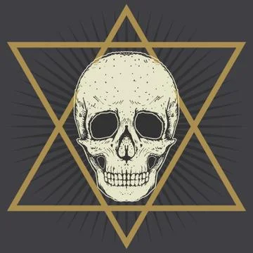 Drawing of human skull Stock Illustration