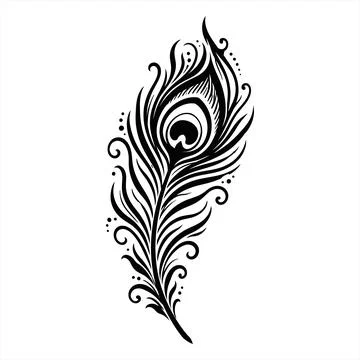 Drawing illustration of a decorative peacock feather on isolated background 库存插图