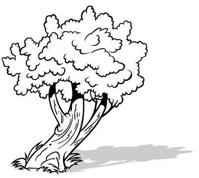 Drawing of an Inclined Deciduous Tree Stock Illustration