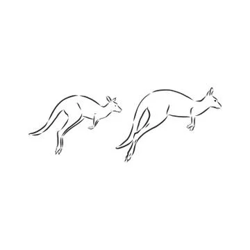 Drawing of a kangaroo. Vector illustration. kangaroo vector sketch illustrati Stock Illustration