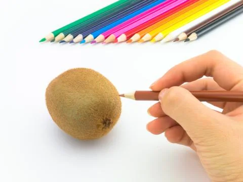 Drawing Kiwi Stock Photos