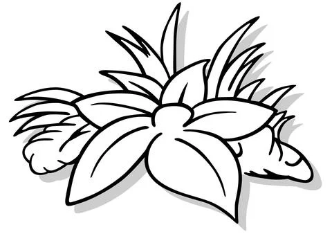Drawing of a Large Lying Flower in the Grass Stock Illustration