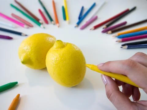 Drawing Lemon Stock Photos